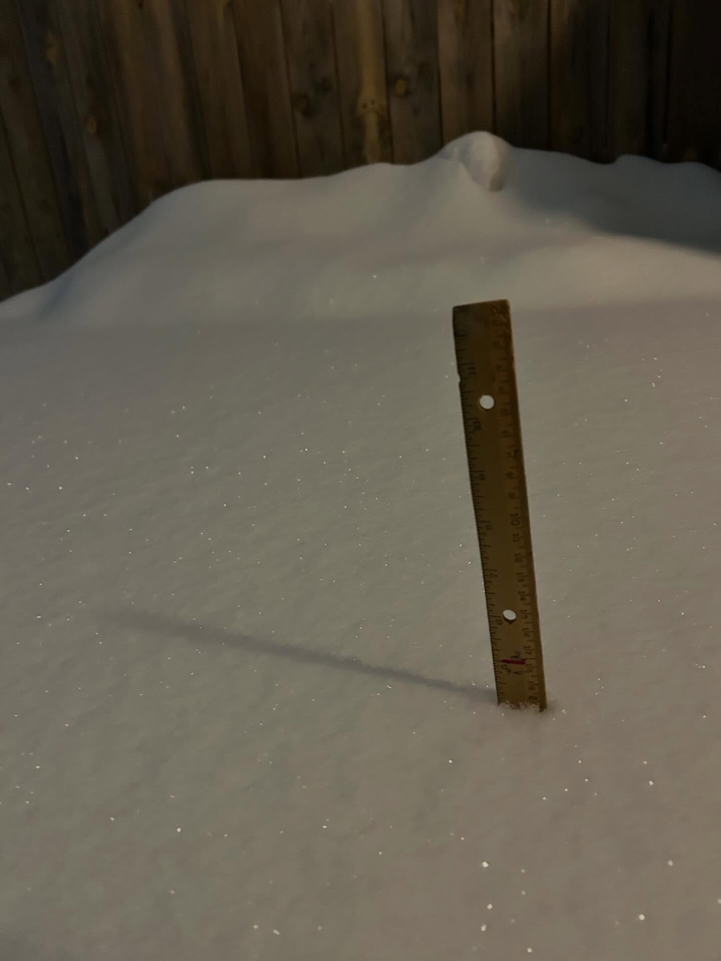 snow3.jpg