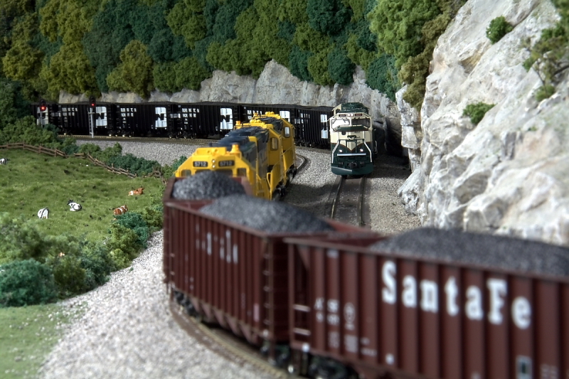 Terry and Edward meet at Wildwood.