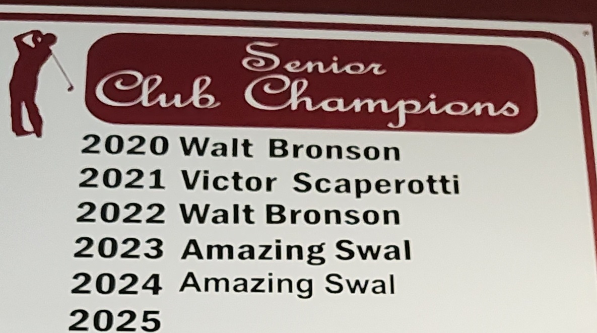 The_Amazing_Swal_01.jpg