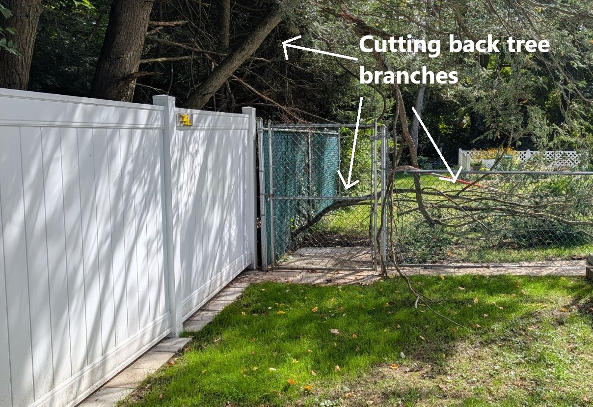 Tree_Work_02.jpg