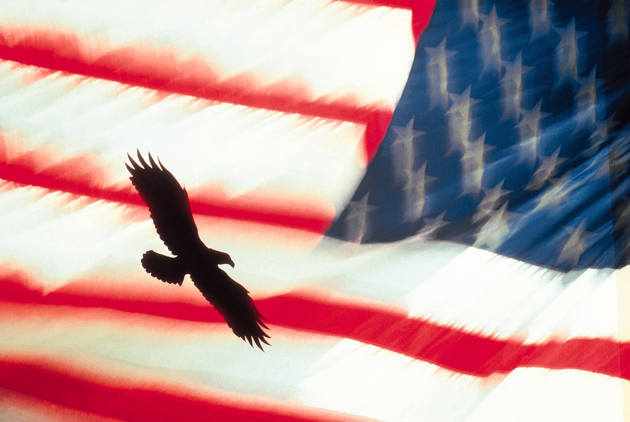 USFLAGEAGLE.jpg