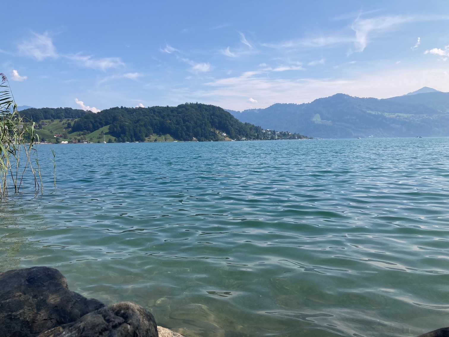 vierwaltstaettersee.jpg