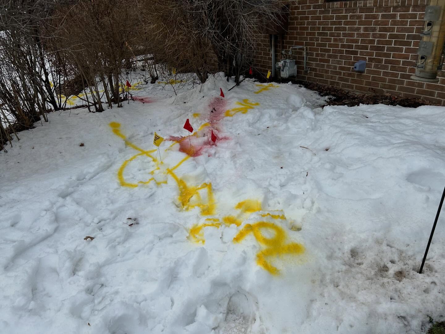 Yellow snow.jpg