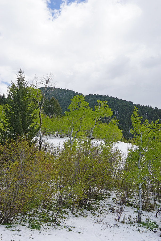 53743198897_1c73714db8_b.jpg