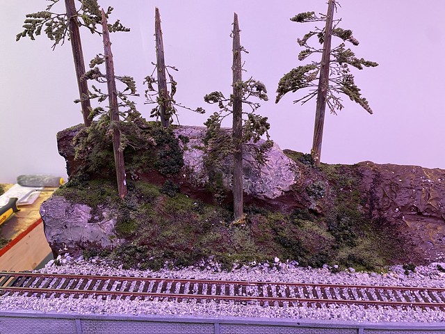 53577853281_3ce0aec744_z.jpg
