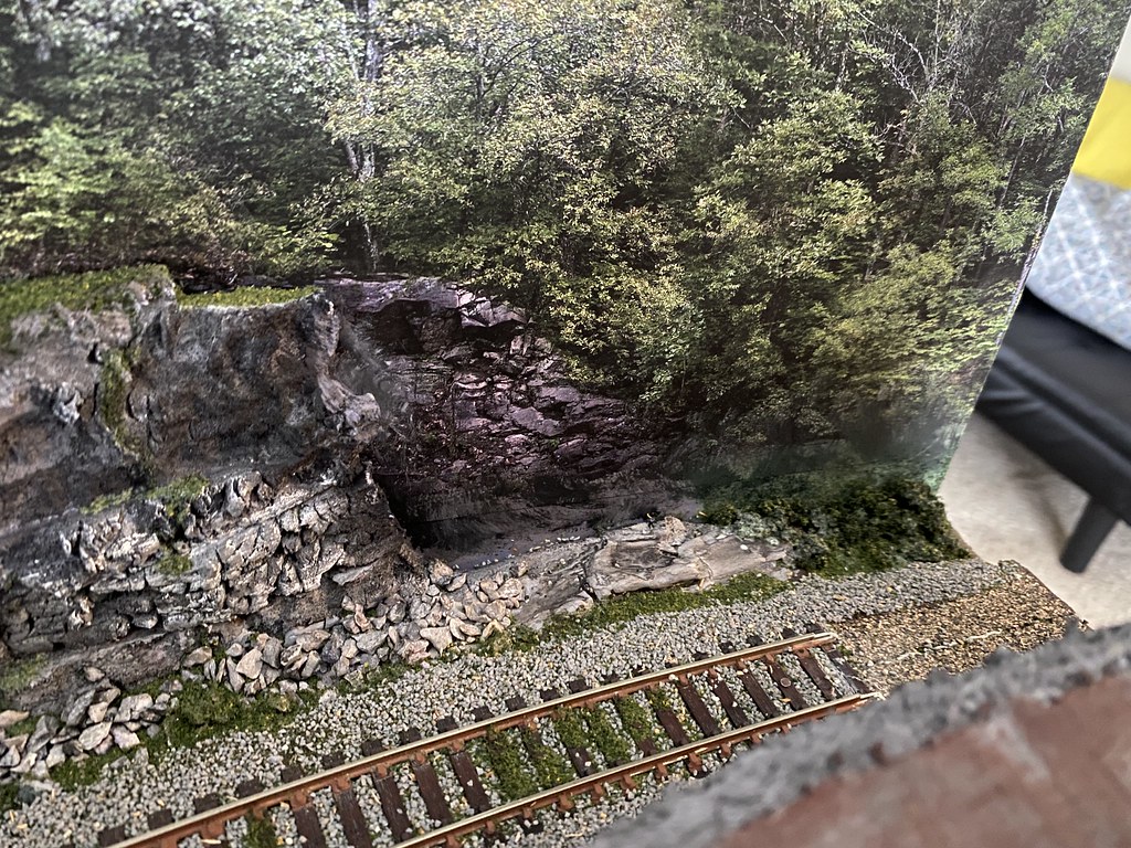 54328742077_cdcc229c00_b.jpg