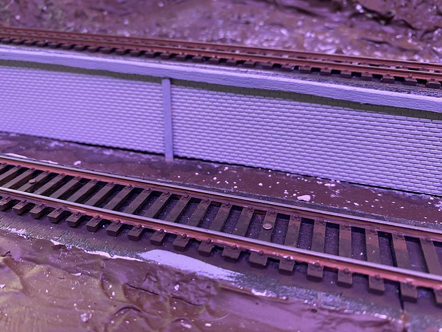 53577824774_6d96d1aaec_z.jpg