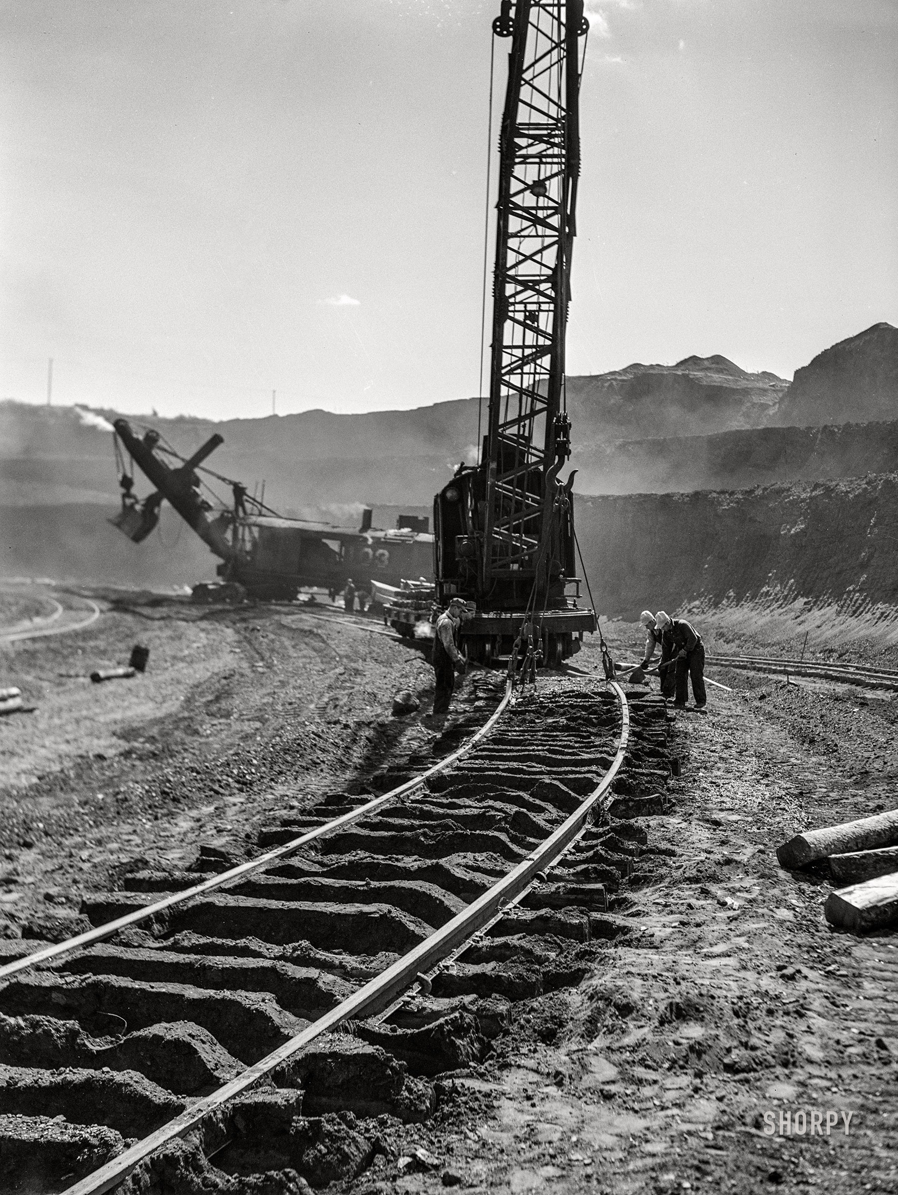 SHORPY-8c20392a.jpg
