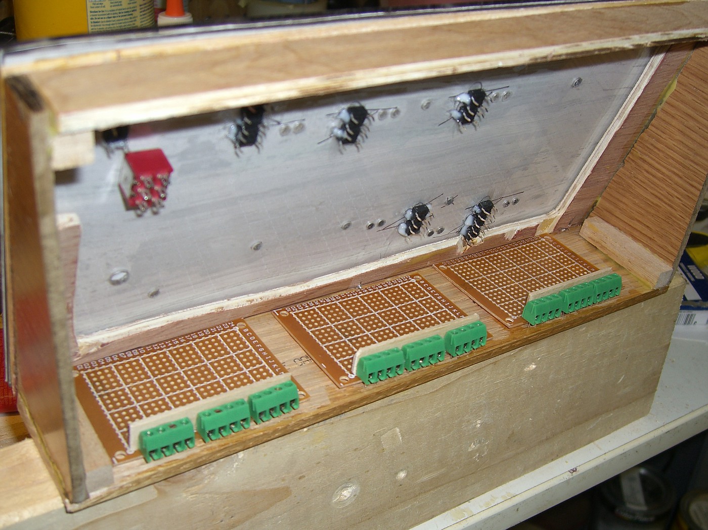 CIMG1362-vi.jpg
