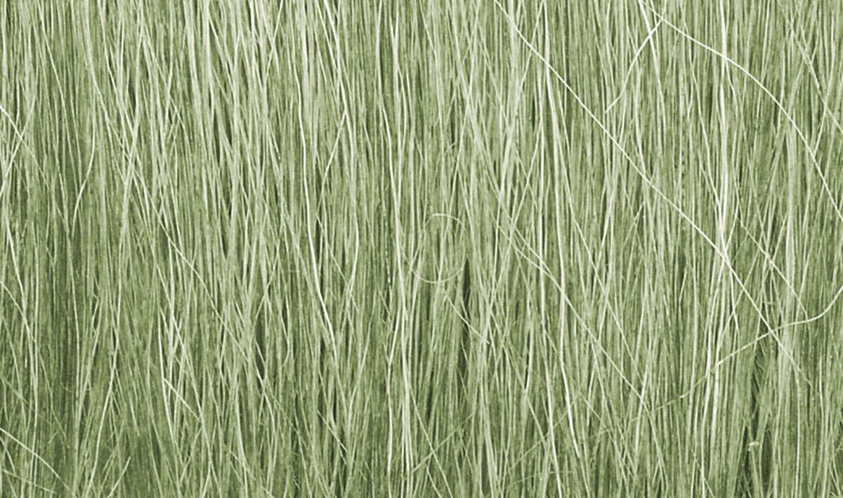 FG173_f_1.jpg