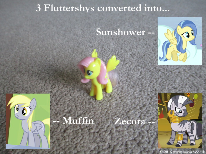 mlp011.jpg