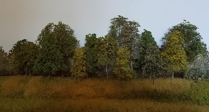 LinndaleRidgeTreesAsOf07-29.jpg