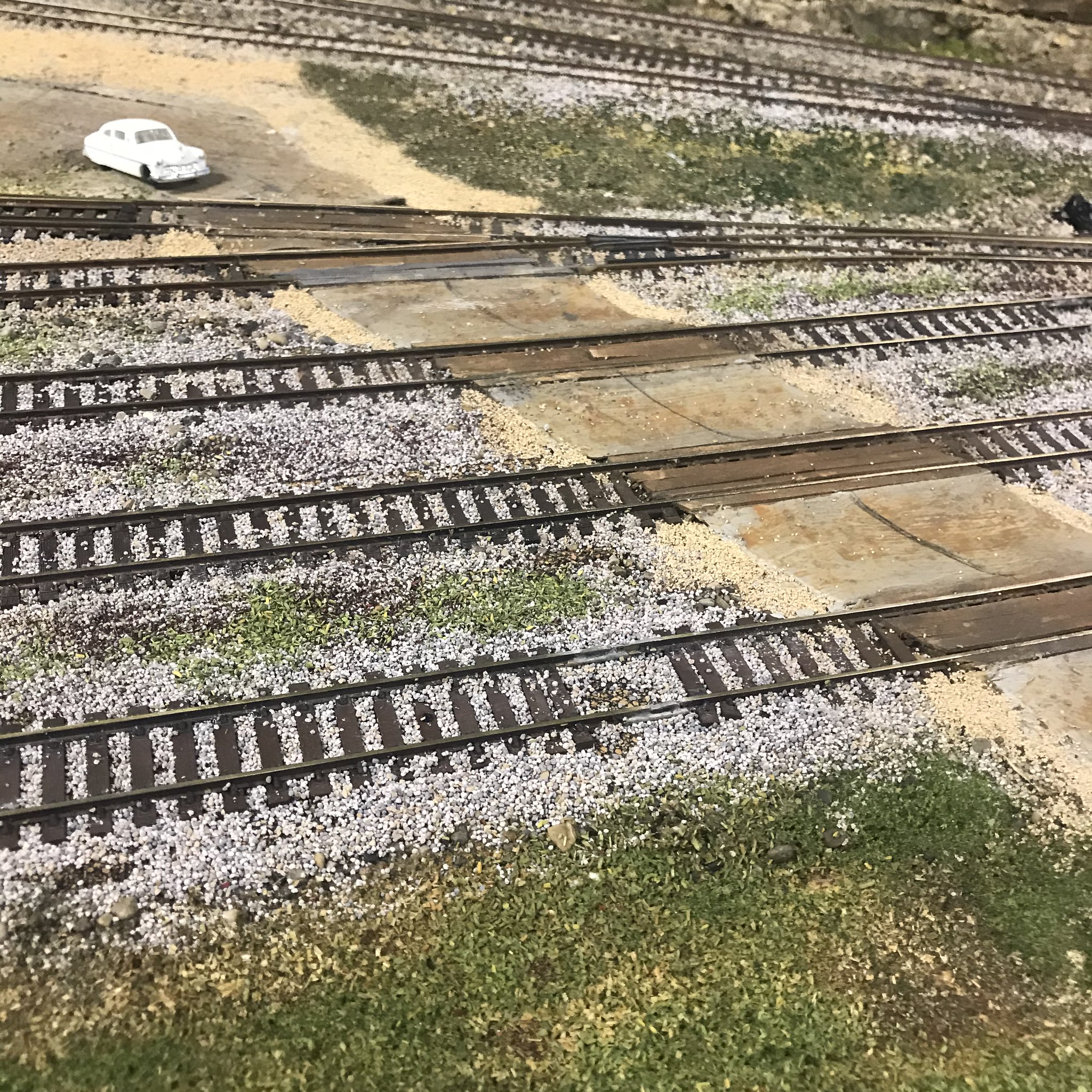 49757656453_bca16b5474_k.jpg