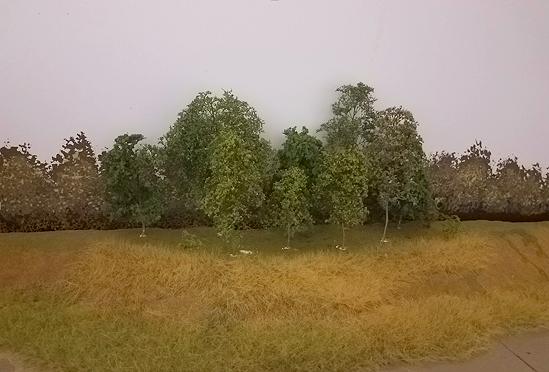 LinndaleRidgeFirstTrees02.jpg